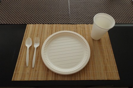 Eco-Món productos desechables  biodegradables , ideales para cualquier reunión